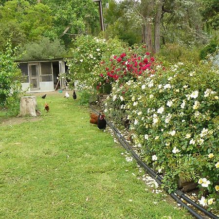 Camawald Coonawarra Cottage B&B Ruang foto