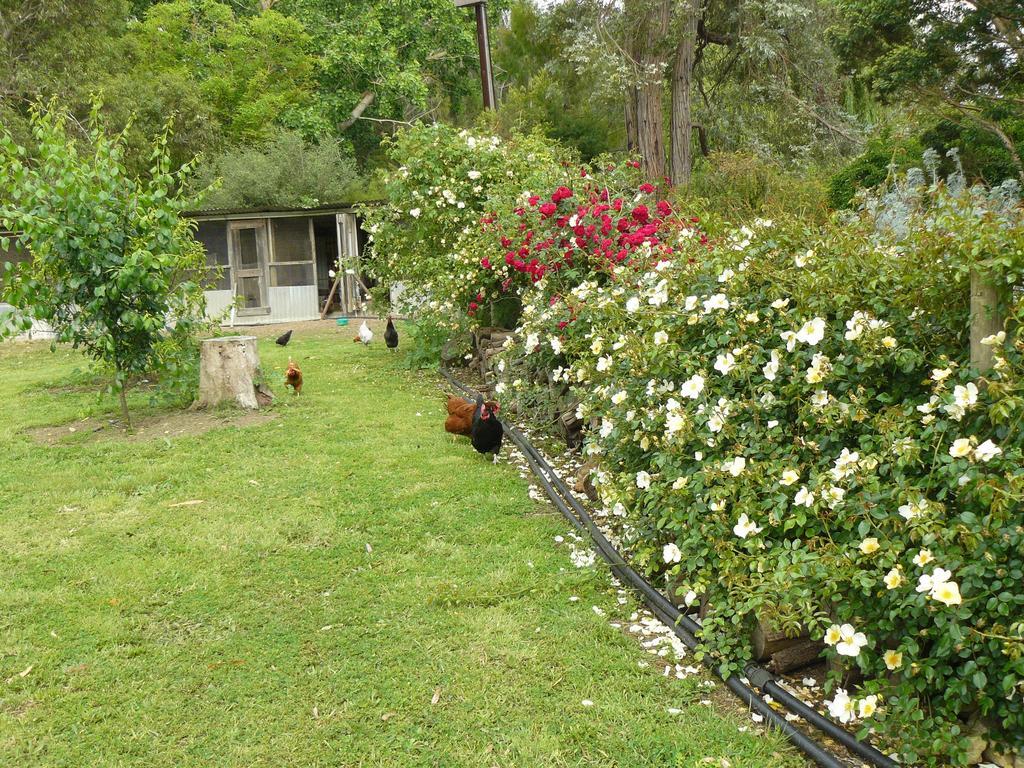 Camawald Coonawarra Cottage B&B Ruang foto